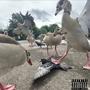 Climbing (Explicit)
