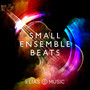 Small Ensemble Beats