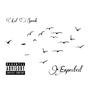 Expected (Explicit)