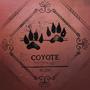 Coyote