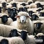 PECORA BIANCA (Explicit)
