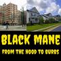 from the hood to the burbs