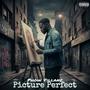 Picture Perfect (Explicit)