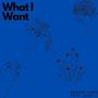 What I Want (Explicit)