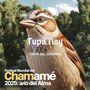 Tupá Noy en Avio del Alma: Fiesta Nacional del Chamamé 2025 (En Vivo)
