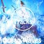 50 Tracks Ocean Waves Sounds with Ambient Music for Meditation Relaxation Healing Reiki New Age