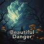 Beautiful Danger