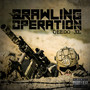 Brawling Operation (Explicit)