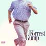 Forrest Gump (feat. Troy G) [Explicit]