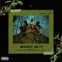 What is it (feat. Rich Kid Jayy & Jontavian Barber) [Explicit]