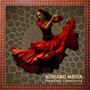 Flamenco Experience