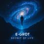 Secret of Life