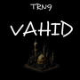 VAHID (Explicit)