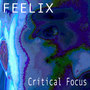 Critical Focus