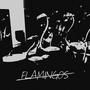 Flamingos (Explicit)