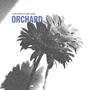 Orchard (feat. Nate Lesco) [Explicit]