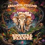 Arambol Visions