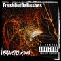 FreshOutDaBushes (Explicit)