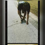 Goin wit da flow (Explicit)