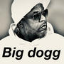 Big dogg (feat. King Tun) [Explicit]