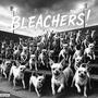 BLEACHERS!