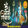 Om Namah Shivaya Dhuni