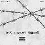 It's a Damn Shame (Explicit)