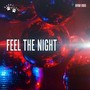 Feel the Night