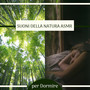 Suoni della Natura ASMR - Temporale, Mare, Bosco per Dormire