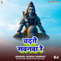 Chadhte Sawanwa Re DJ