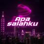 Apa Salahku (Remix)