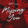 Missing you (Explicit)