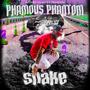 Shake (feat. PhamousPhantom)