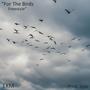 For The Birds (Explicit)