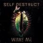 Self Destruct