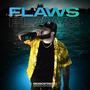 Flaws (Explicit)