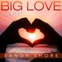 Big Love (Mavericks Mix)