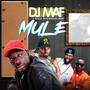 Mule (feat. O Black, Brite Benson & Seriki)