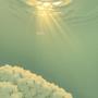 963 Hz Divine Light