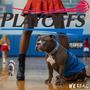 Playoffs (Explicit)