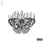 Butterflies (Explicit)