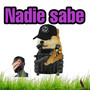 nadie sabe