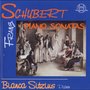 Schubert: Piano Sonatas