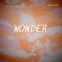 Wonder (Dance-Version)