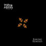 Raking Remixes (Explicit)