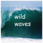 Wild Waves