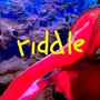 riddle