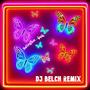 Butterflies (Gashi DJ Belch Flip)