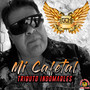 Mi Cafetal (Tributo Indomables)