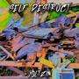 self destruct (Explicit)